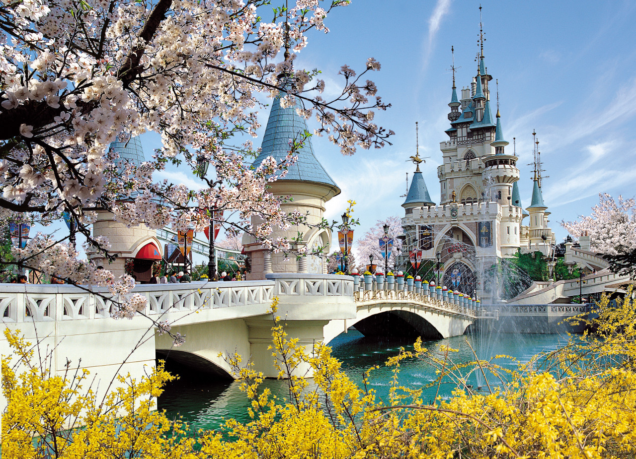 Lotte World Theme Park Passpod