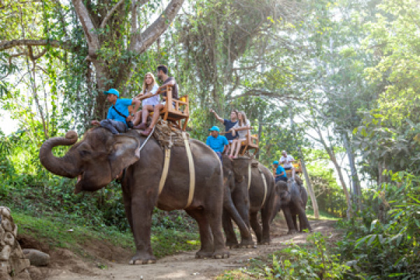 Bali Zoo: Elephant Expedition Package**