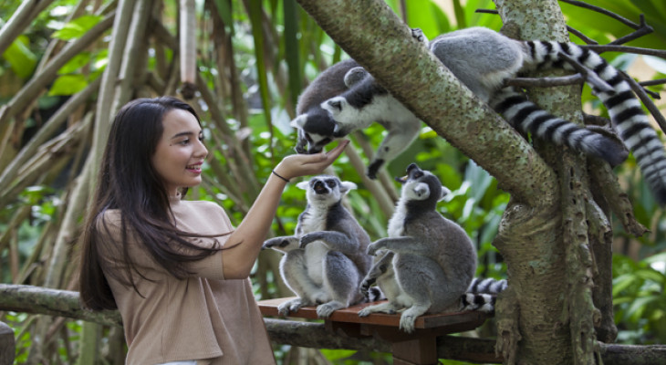 Bali Zoo - Admission
