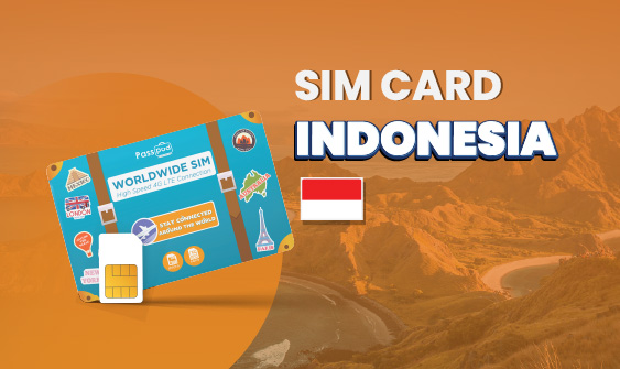 SIM Card Indonesia